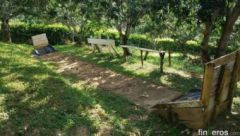 FINCA EL CHICALA 2  – Finca in Anapoima, Cundinamarca